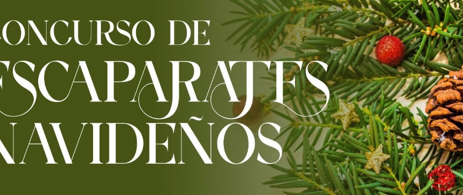 405802843_742455967912052_7169025655574380783_n_