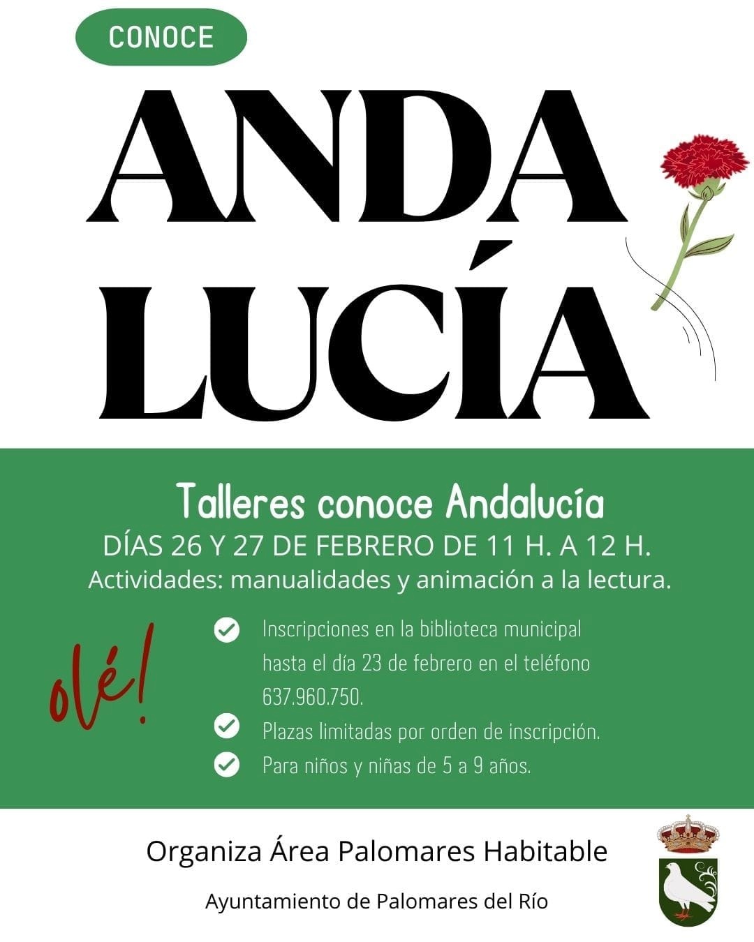 428625030_796743329149982_3659965249907687134_n