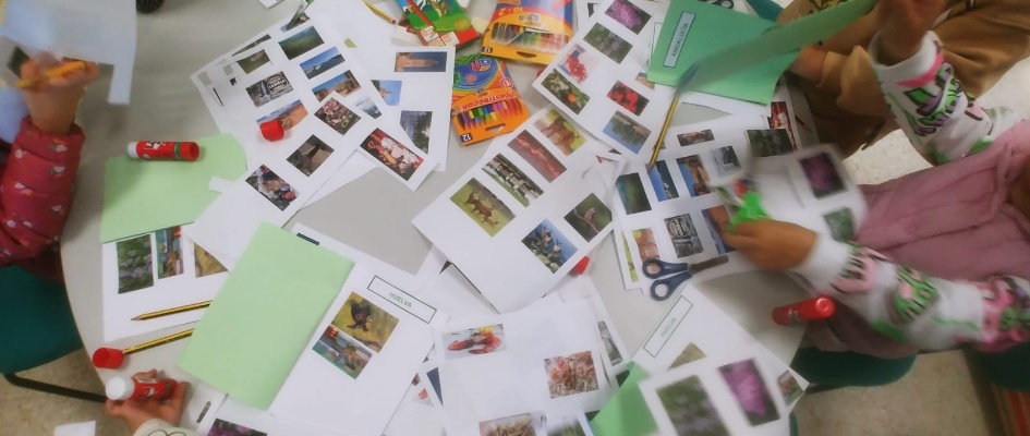 429555044_802411098583205_6051465378841372706_n