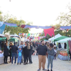 429928928_798808525610129_2097262220432052147_n