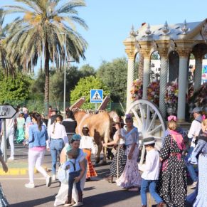 438241744_850366793787635_3906569559053406905_n