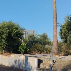 448899734_877362294421418_1903957276988715051_n