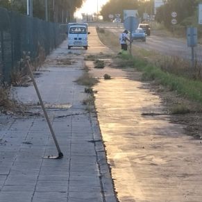 449132902_877361967754784_6623650844765152077_n