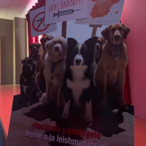 450646207_887262286764752_6251750002152087983_n