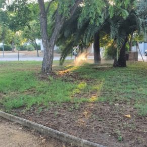 452228134_893071176183863_6874923904441458189_n