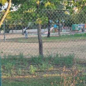 452236280_893070816183899_4153191530216706346_n