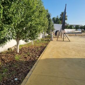 452250516_893071266183854_8220032802105652237_n