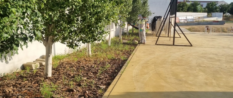 452250516_893071266183854_8220032802105652237_n