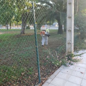 452254308_893071222850525_8928793738556209362_n