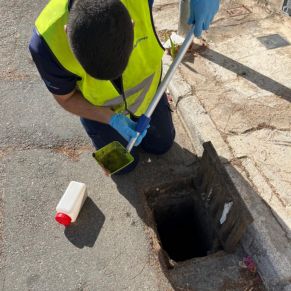 452581377_895788232578824_3266497635169013181_n