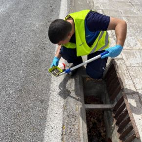 452679333_895788852578762_6935096799077259315_n