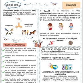 452722402_895788969245417_8873155428253841401_n