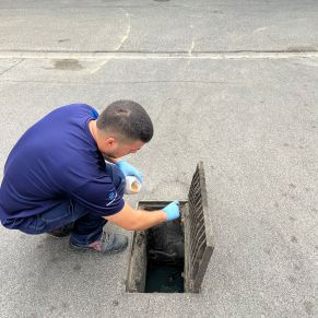 457197644_920380166786297_5079236489589775792_n