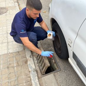 457439945_920380063452974_5402145272199996495_n