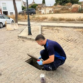 457440845_920380076786306_5940231145600465730_n