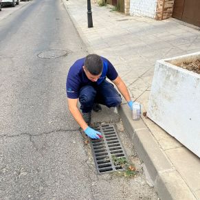 457523793_920380096786304_401454373905785566_n