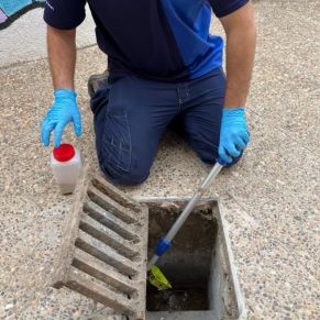 461034475_939093044915009_2648163679890195766_n