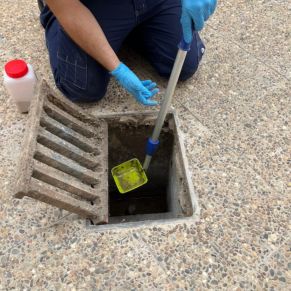 461080666_939093081581672_6840467886664812721_n