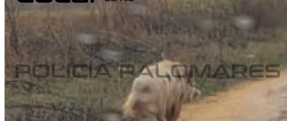 462601244_122170627112113676_7803578066991688604_n