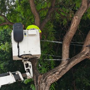 464856247_966596948831285_7170122805422537718_n