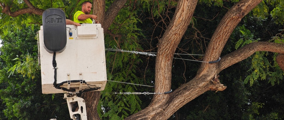 464865371_966596928831287_6460711739666451501_n