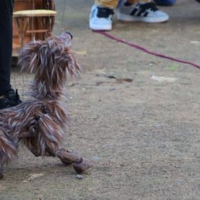 466420186_975873491236964_1026809096445483061_n