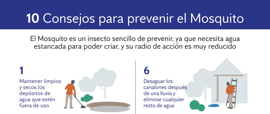 Ayuntamiento-y-Anticimex-recomendaciones-mosquito