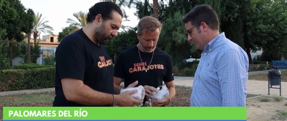 Captura de pantalla 2024-09-02 100747