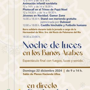 programa-navidad-4K_6