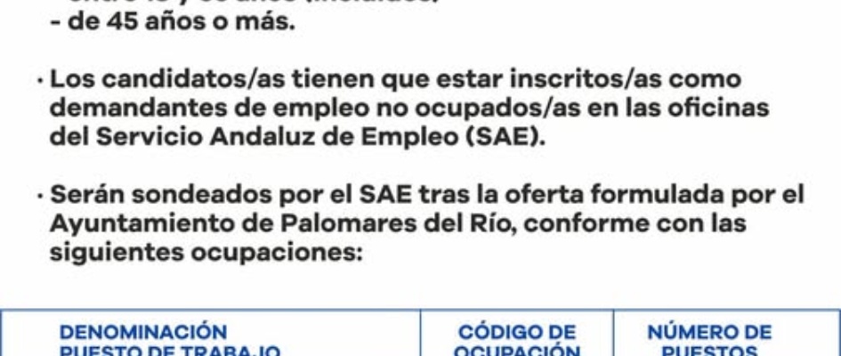 475441981_1036231901867789_5659291601066706849_n