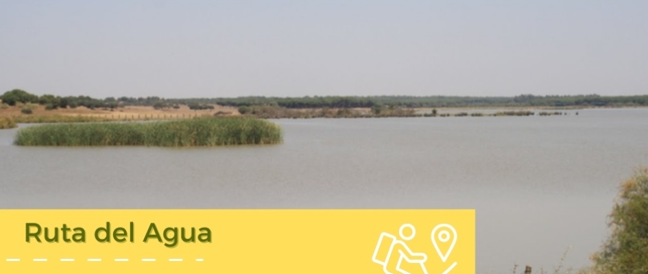 476349525_1041870624637250_8696393015326588600_n