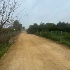 480463783_1052865183537794_3707326548849456653_n