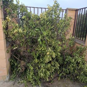 480595450_1055290936628552_5110920689954134239_n