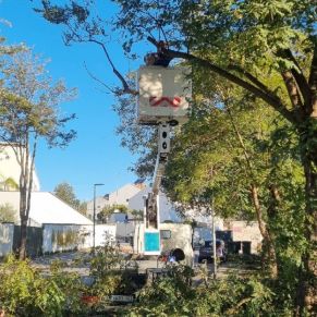 488035734_1085810580243254_8855152730201981298_n