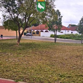 488505277_1087834536707525_6334008354138407199_n