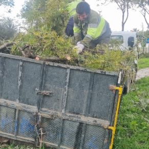 488506420_1085810746909904_12338124509215526_n