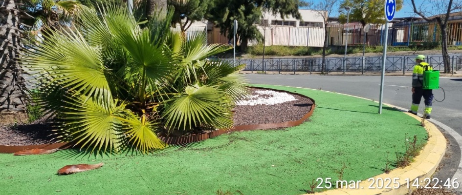 488514153_1085810656909913_1295149975428062063_n