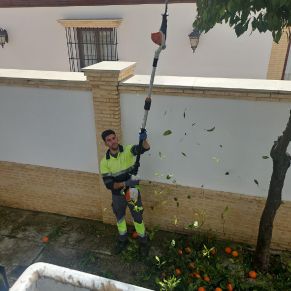 488659559_1085810833576562_7772519688081479626_n