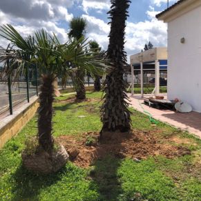 491226537_1097012755789703_8694135187851015969_n