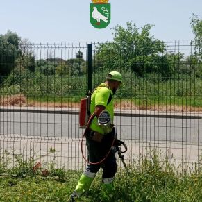 492747212_1106098088214503_5186994528937996431_n