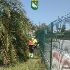 492749737_1106098194881159_8605742201263133607_n