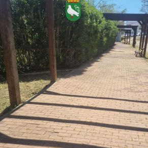 492903704_1106098098214502_1532420872013161566_n