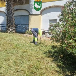 493292497_1106098188214493_9047457966911602929_n