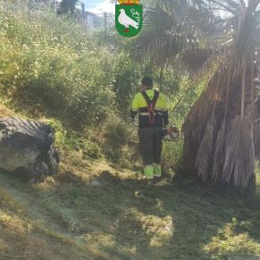 493318889_1106098141547831_4729197375804368442_n