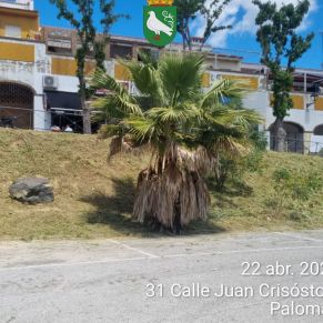 493325506_1106098111547834_7002244937802512095_n