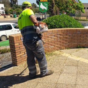 494466713_1109975091160136_6421225126643438600_n