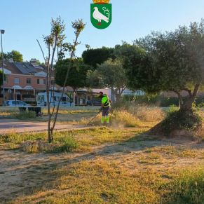 494468905_1109975194493459_1027647583572511712_n