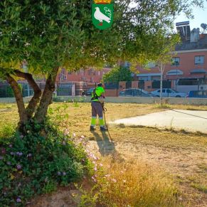 494474563_1109975197826792_3117410674410470890_n