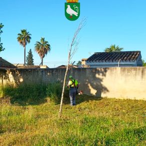 494968797_1109975101160135_7692081924166717654_n