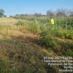 501535844_1132420625582249_8104910026260949189_n